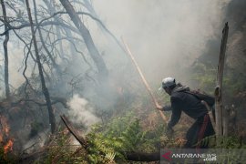 Hujan turun di kawasan Karhutla Kawah Putih Bandung, kurangi titik api