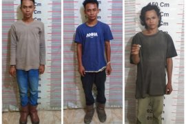 Polisi Langkat tangkap tiga pemilik narkotika