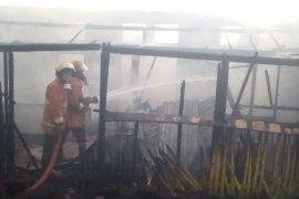 10 petak rumah di Asrama Brimob Padang Panjang terbakar, tak ada korban jiwa