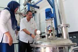 LIPI temukan obat kolesterol dari pisang raja sereh