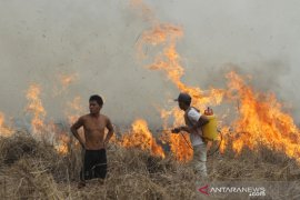 Kebakaran Lahan Di Kalsel