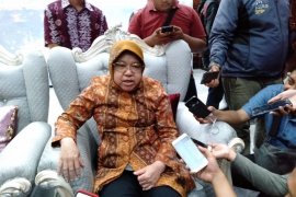 Wali Kota Risma gunakan e-perfomance pantau kinerja pegawai Pemkot Surabaya
