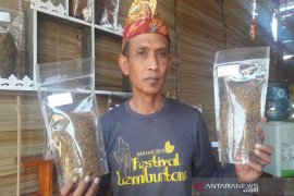 Tembakau lembutan, solusi petani Temanggung pertahankan harga