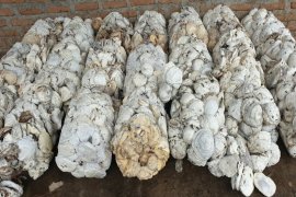 Hingga September, penurunan ekspor karet Sumut masih berlanjut