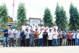 914 hektare perkebunan sawit Rokan Hilir akan diremajakan pada 2020