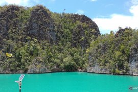 Missing Swiss tourist in Papua found alive