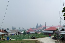 Kecamatan Lembah Gumanti kembali diselimuti kabut asap kiriman