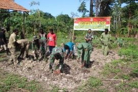 Satgas TMMD ajari warga Kogir bertani hingga hidup sehat