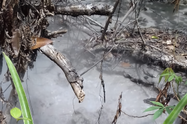 Lokasi semburan air panas dampak gempa di Desa Oma akan ditinjau LIPI