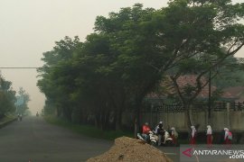 Solok Selatan liburkan sekolah akibat pekatnya kabut asap