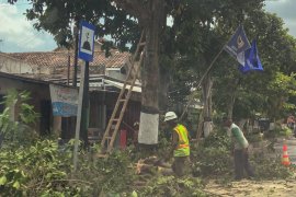 DLH Yogyakarta mengintensifkan pemangkasan pohon jelang musim hujan