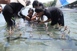 GenBI Jember tanam terumbu karang