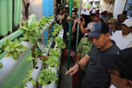 Kampung Hidroponik Simorejo Jatim berkembang di lahan terbatas