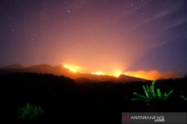 Balai TNGR fokus memadamkan kebakaran kawasan hutan di Rinjani