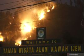 Luas karhutla di kawasan Gunung Ijen capai 1.200 hektare