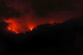 BPBD Jember bantu padamkan kebakaran hutan di Gunung Argopuro