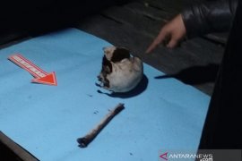 Niat mencari ikan, warga HST ini malah temukan tengkorak dan tulang kaki