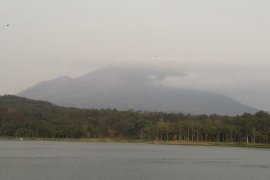 Hutan Gunung Lemongan Lumajang kembali terbakar