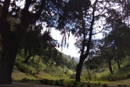 Cuaca buruk, jalur pendakian Gunung Lawu Magetan ditutup