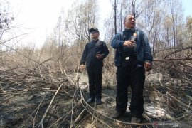 Dampak kebakaran Gunung Ijen