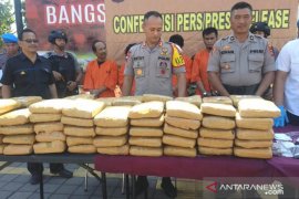 Polres Jembrana bongkar pengiriman 100 Kg ganja dari Jawa