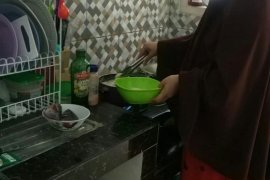 Si Pinky yang mempercantik dapur pengantin baru