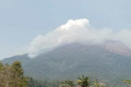 Joint forest fire-fighting team deployed on Mount Sumbing