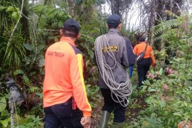 Kakek renta hilang di hutan Silayu Malalak