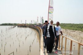 Pertamina ''sulap'' bibir pantai tergerus abrasi jadi wisata edukasi mangrove