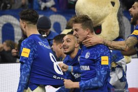 Jadwal Liga Jerman: Derby Ruhr jadi suguhan utama
