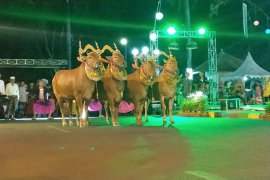 Madura Eksotik meriahkan Hari Jadi Pamekasan