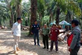 Forestry Agency revokes industrial license for illegal logging