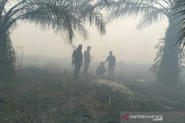 Bakar lahan pamannya di Siak, pria ini ditangkap polisi