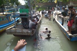 Nelayan Kabupaten Bangka Selatan temukan hiu terdampar