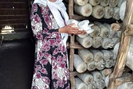 Sejahtera Berkat Budidaya Jamur Tiram