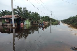 Dua dusun di Bengkalis terendam banjir, aktivitas warga lumpuh