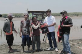 Rayakan hari jadi, komunitas Civic Turbonesia tanam pohon mangrove
