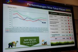 Nilai tukar petani Kalsel Oktober turun