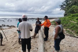 Seorang warga di Manokwari dilaporkan hilang terseret arus