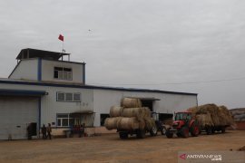 Kemenperin nilai Jatim berpotensi jadi lokasi pabrik etanol