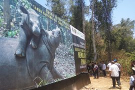 Suaka Rhino Sumatera II habitat bagi badak liar Way Kambas