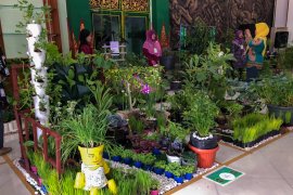 Lorong Sayur dan Lele Cendol dikembangkan mendukung ketahanan pangan