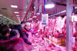 Ini pentingnya penguatan industri pangan halal