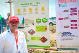 Demfarm berhasil, Kepala Balittra: Ini bukti rawa bisa!