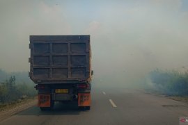 Pembakaran lahan masih terjadi