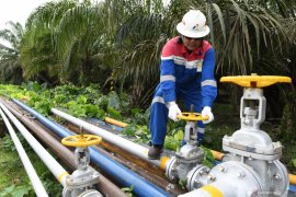 Kadin requests government to build gas pipeline in Trans-Kalimantan