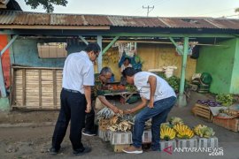 Perdagangan hiu dan pari menurun selama COVID-19