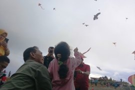 Pertama kali, Pemkab Tapanuli Selatan gelar festival layang-layang