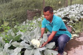 Pertamina gandeng karang taruna kelola ekowisata