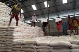Alokasi pupuk bersubsidi di Pamekasan bertambah menjadi 94.659 ton